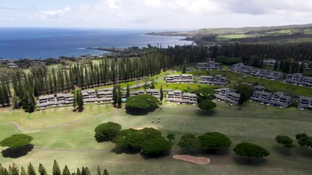 Vista aérea da costa de Kapalua e paisagem verde em Maui, Havaí — Vídeo de Stock