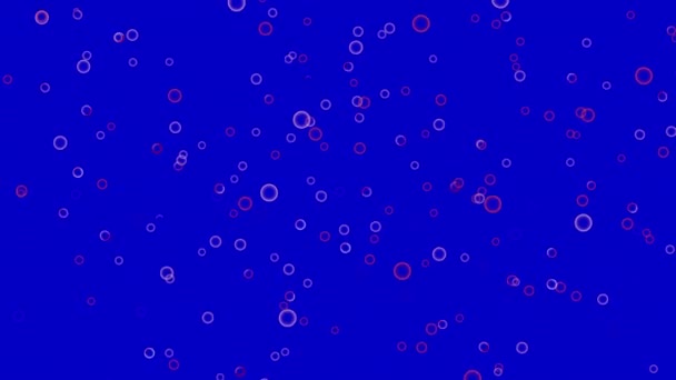 Illustrierte Seifenblasen auf blauem Hintergrund. Abstrakte Blase, die überall herumschwebt — Stockvideo