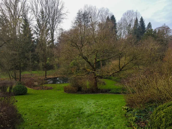 Giardino durante la stagione invernale. Vista panoramica del giardino con grande erba verde e alberi — Foto Stock