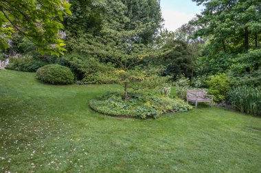 English garden type during summer season. Green grass and trees.
