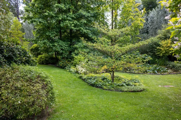 English Garden Type Summer Season Green Grass Trees — Stockfoto