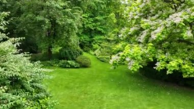 Aerial view of English garden type during summer season. Green grass and trees.
