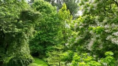 Aerial view of English garden type during summer season. Green grass and trees.
