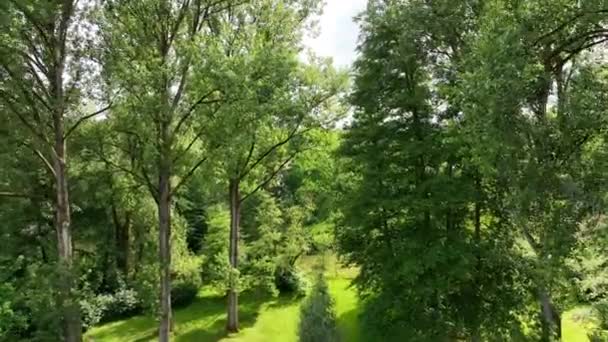 Aerial View English Garden Type Summer Season Green Grass Trees — Vídeos de Stock