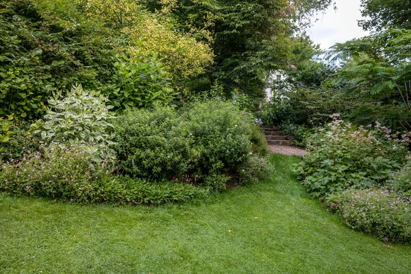 Green Garden Multpiple Type Trees Plants Flowers Summer Season — ストック写真