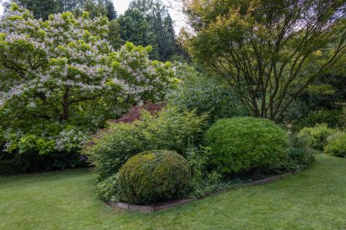 Green garden with multpiple type of trees, plants and flowers during the summer season