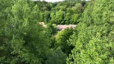 Flying over green garden with multpiple type of trees, plants and flowers during the summer season