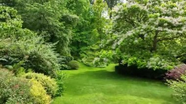 Green garden with multpiple type of trees, plants and flowers during the summer season