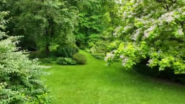 Green garden with multpiple type of trees, plants and flowers during the summer season