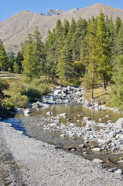 River under mountain