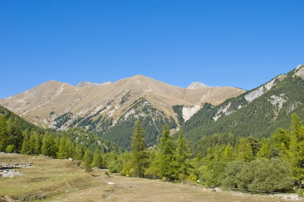 Долина у подножия горы — стоковое фото