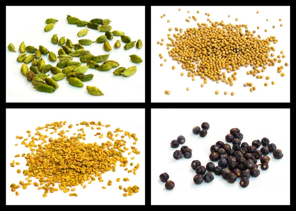 Yellow mustard seed, seed of hay greek, cardamom, juniper — Stock Photo, Image