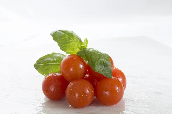 Tomate - Basil — Fotografia de Stock