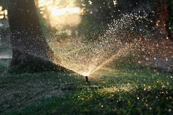 Close Sistem Irigasi Taman Otomatis Saat Matahari Terbenam Rumput Hijau — Stok Foto