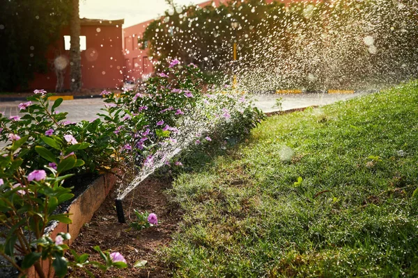 Close Automatic Garden Irrigation System Summer Yard Lawn Sprinkler Watering — 스톡 사진