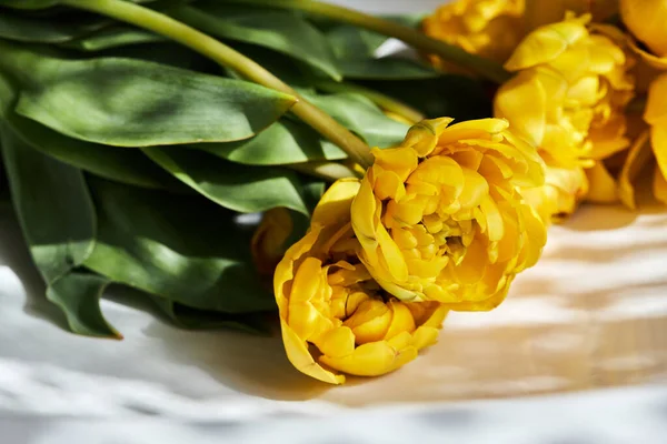 Beyaz arka planda, doğal ışık ve gölgelerle bir demet güzel sarı, duble şakayık lale.