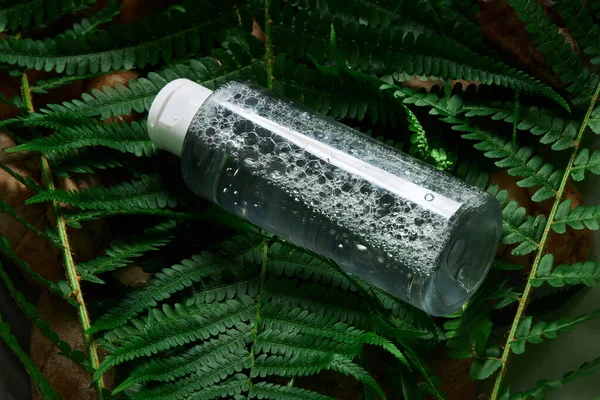 Transparent bottle of micellar water on natural fern background. Liquid tonic or make up remover for face care. Makeup remover in plastic packaging