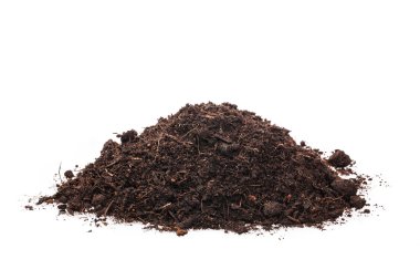 izole beyaz zemin üzerine toprak