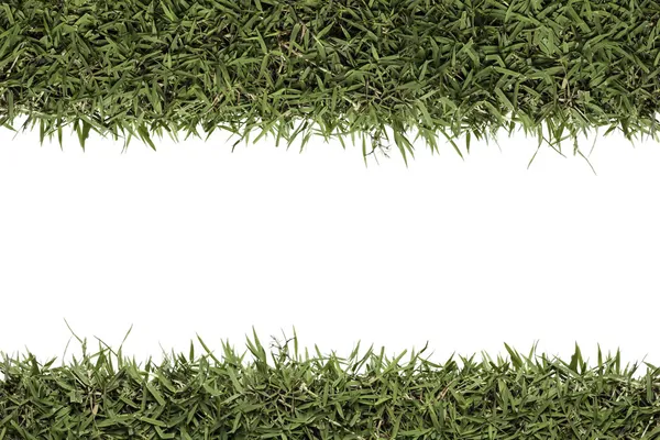 Зеленая текстура травы на изолированном белом фоне — стоковое фото