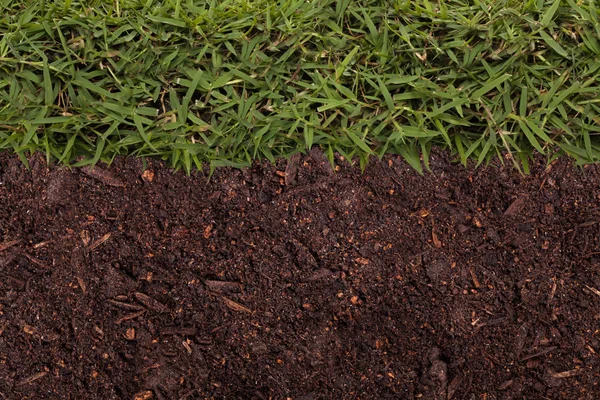 Grass and soil texture — Stock Photo, Image