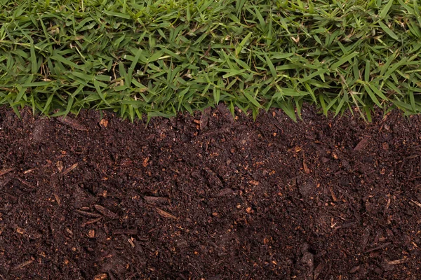 Tekstura trawa i gleby — Zdjęcie stockowe