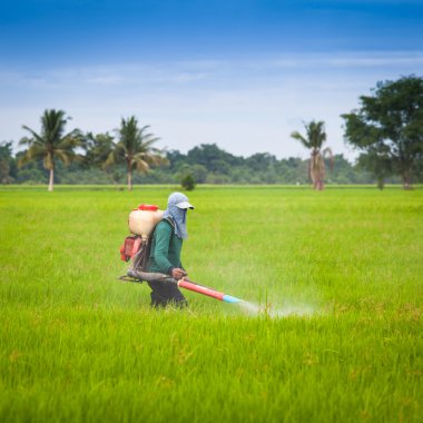 yeşil alanda çalışan çiftçi