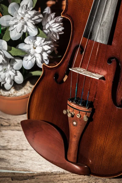 Vintage viool — Stockfoto
