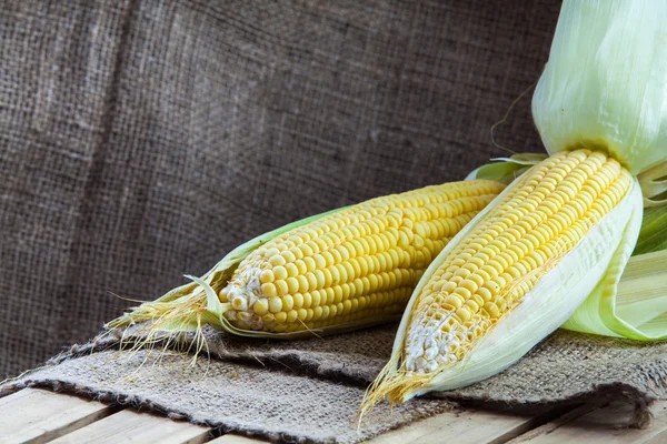 Fresh corns — Stock Photo, Image