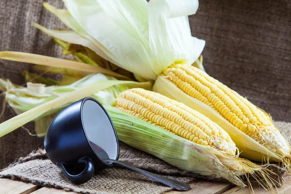 Fresh corns — Stock Photo, Image