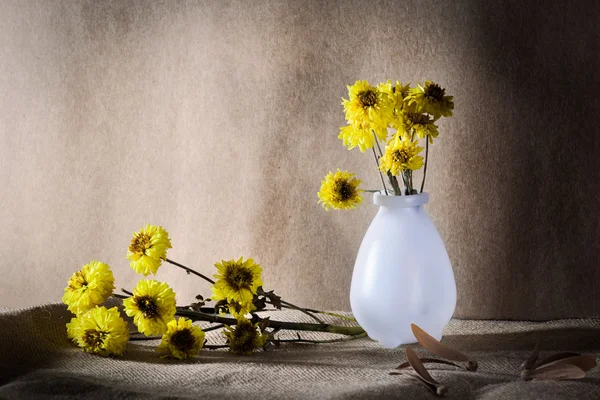 Flor y marco de caléndula — Foto de Stock