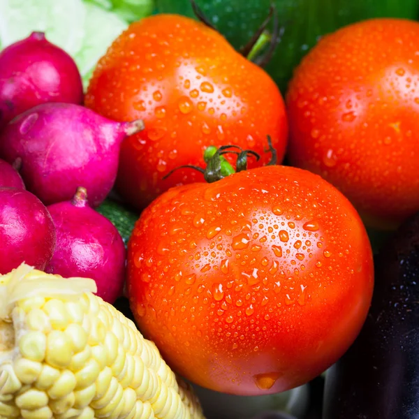 Produtos hortícolas frescos — Fotografia de Stock