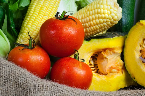 Fresh vegetables — Stock Photo, Image