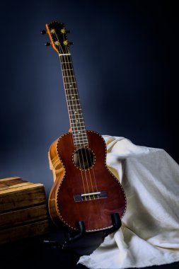 Klasik Gitar