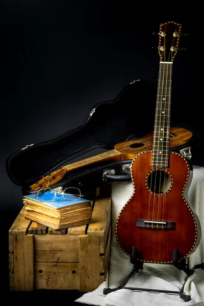 Klassische Ukulele — Stockfoto