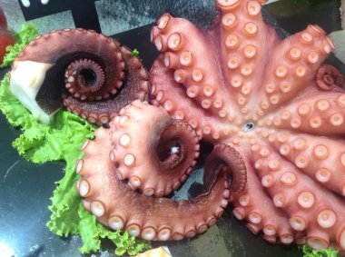 süpermarkette taze ahtapot görüntüleme