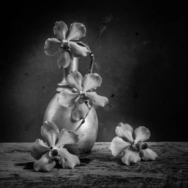 Fiore di natura morta — Foto Stock