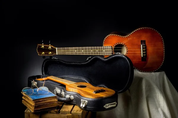 Stillleben Set von Ukulele lokales Musikinstrument der hawischen — Stockfoto