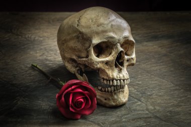 Natürmort kafatası