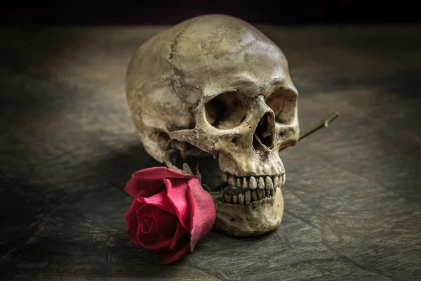 Natürmort kafatası