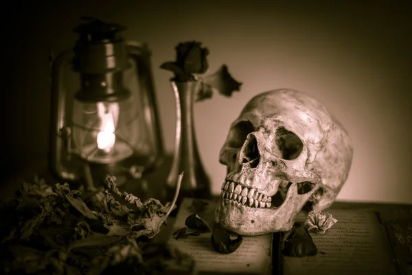 Totenkopf mit Rose — Stockfoto