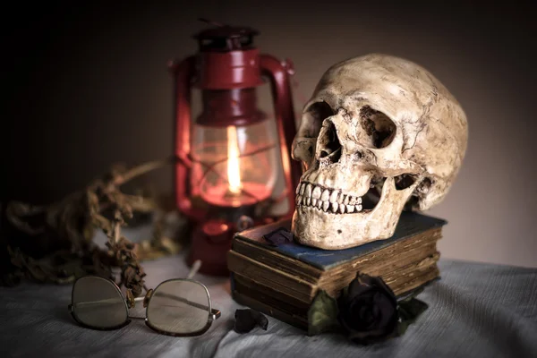 Skull with rose — Stock Photo, Image