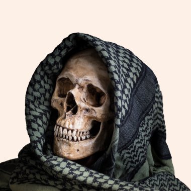 shemagh kafatasıshemagh crânio