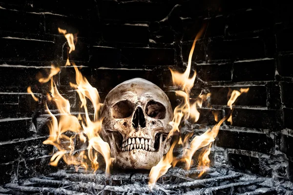 Human skull in stove