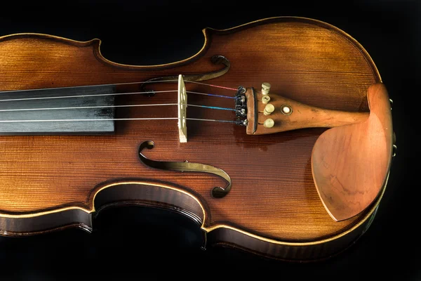 Violino clássico — Fotografia de Stock