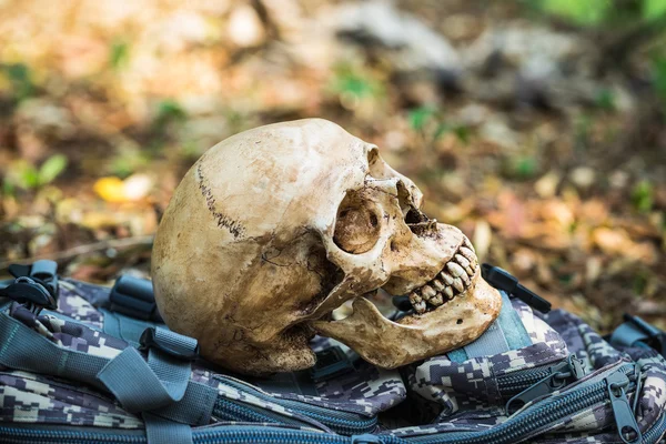 Totenschädel — Stockfoto