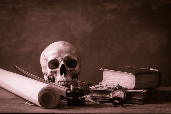 Still life skull — Stock Photo, Image