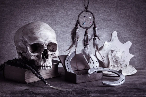 Martwa czaszki — Zdjęcie stockowe