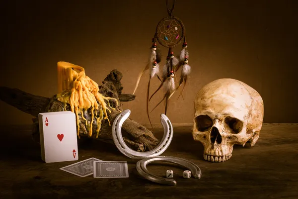 Still life skull — Stock Photo, Image