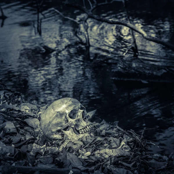 Natürmort kafatası