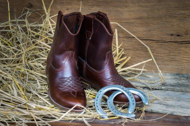 Still life cowboy boots clipart